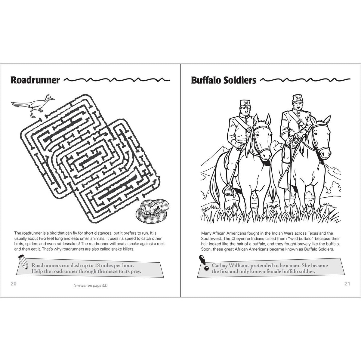 Texas Activity Book