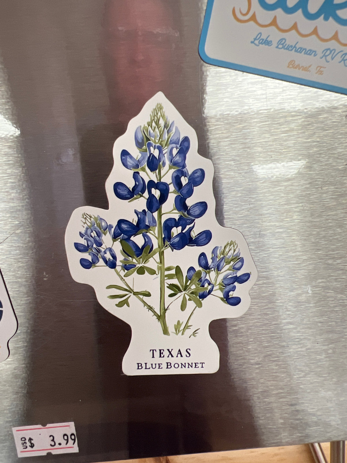 Texas Blue Bonnet Magnet