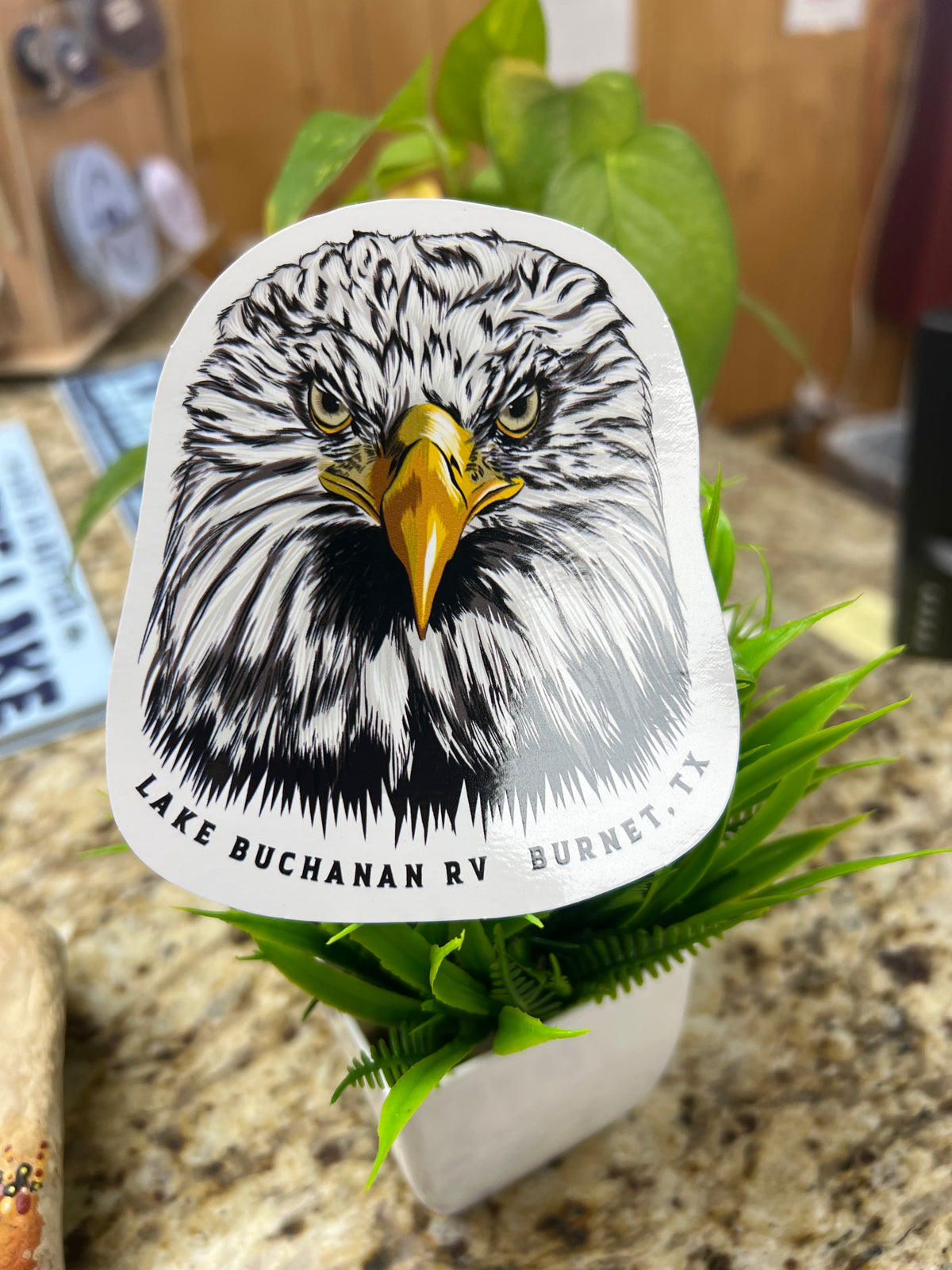 Eagle Lake Buchanan Sticker