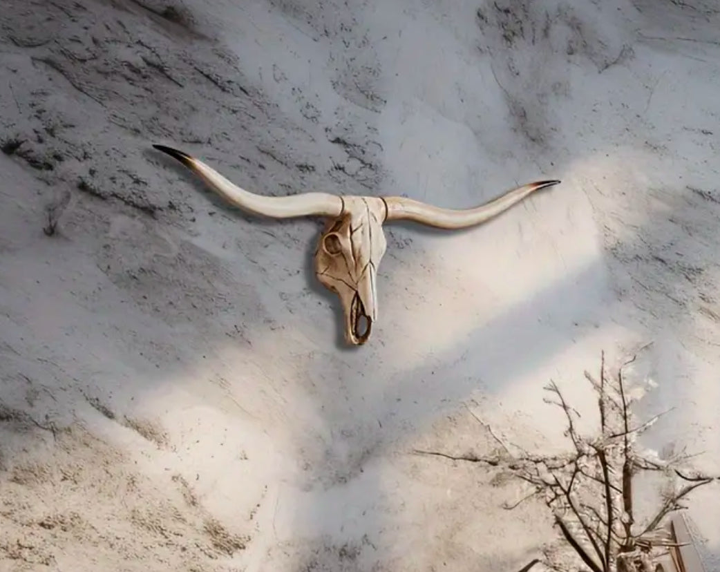 Cow Skull