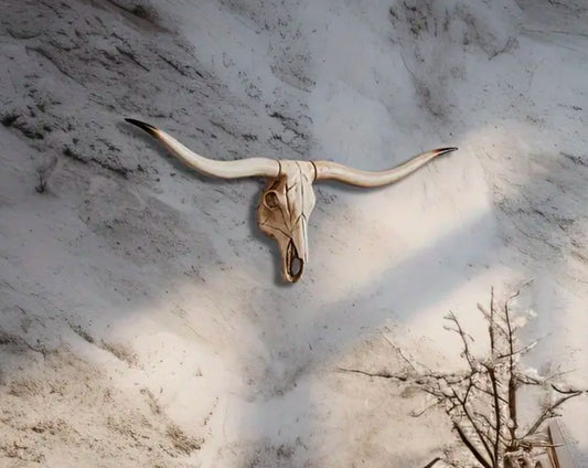 Cow Skull