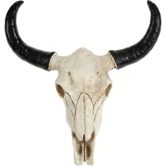 Decorative Longhorn Skull (Small)